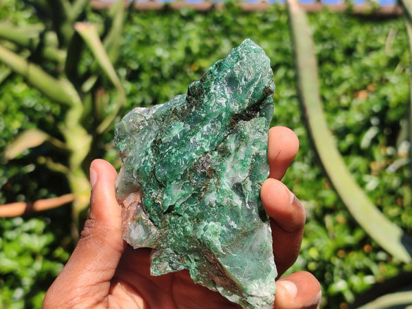 Natural Rough Green Jade Specimens  x 24 From Swaziland