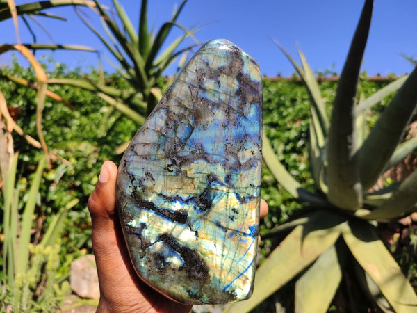 Polished Labradorite Standing Free Form With Blue & Gold Flash  x 1 From Tulear, Madagascar - Toprock Gemstones and Minerals 