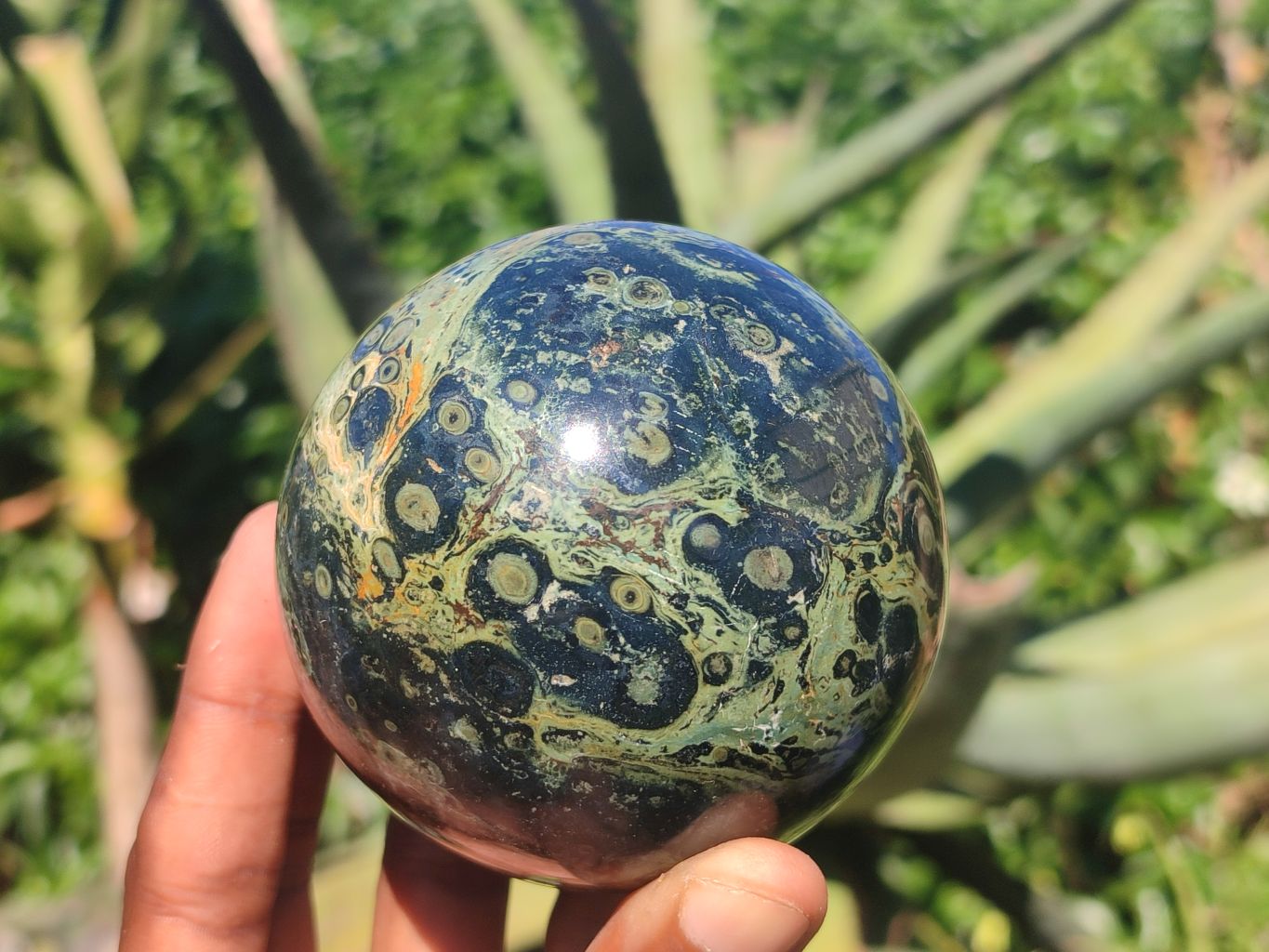 Polished Stromatolite / Kambamba Jasper Spheres  x 2 From Madagascar - Toprock Gemstones and Minerals 