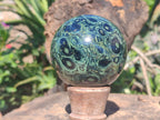 Polished Stromatolite / Kambamba Jasper Spheres  x 2 From Madagascar - Toprock Gemstones and Minerals 