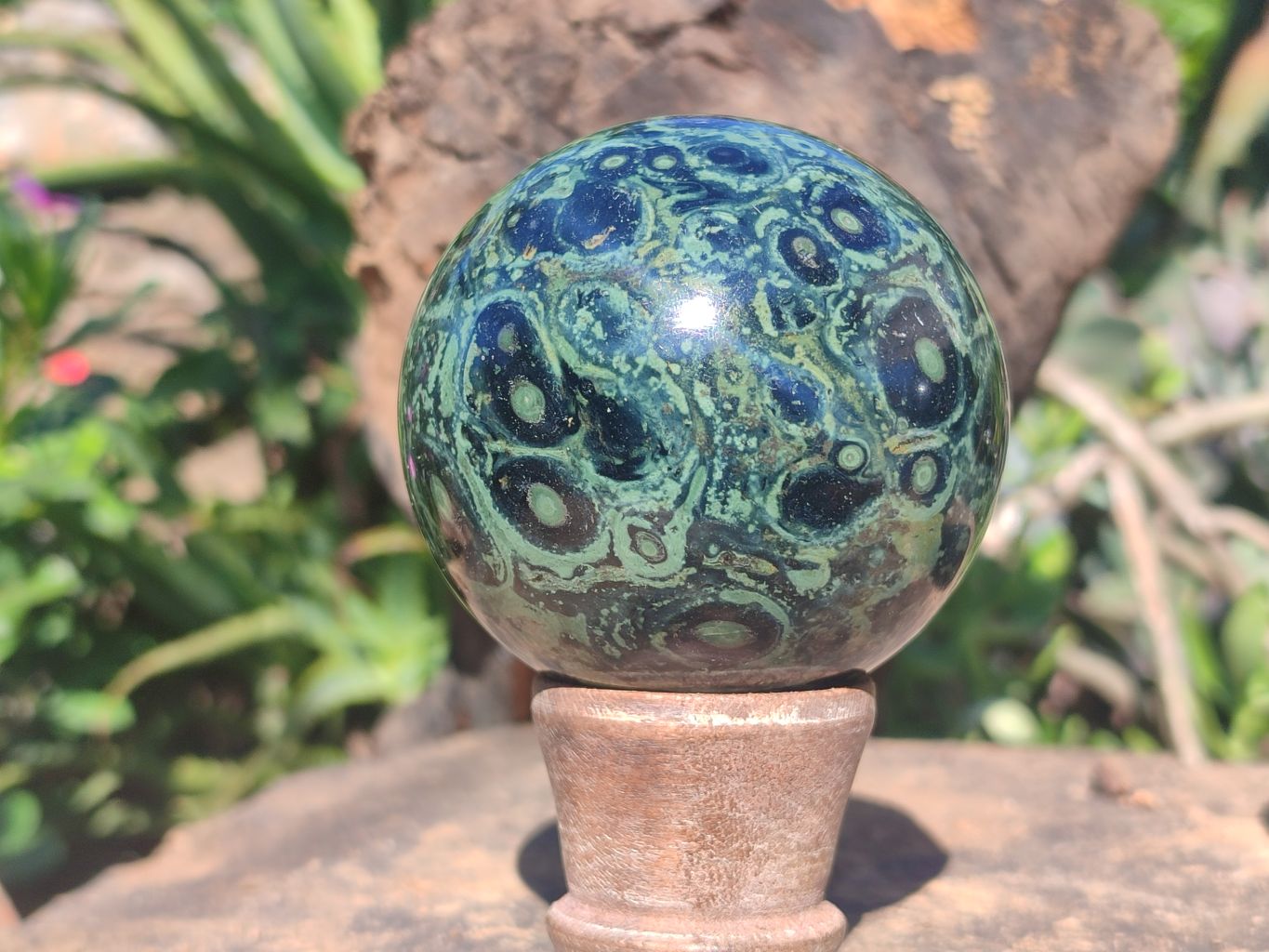 Polished Stromatolite / Kambamba Jasper Spheres  x 2 From Madagascar - Toprock Gemstones and Minerals 
