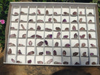 Natural Mini Smokey Amethyst Crystals  x 70 From Chiredzi, Zimbabwe - Toprock Gemstones and Minerals 