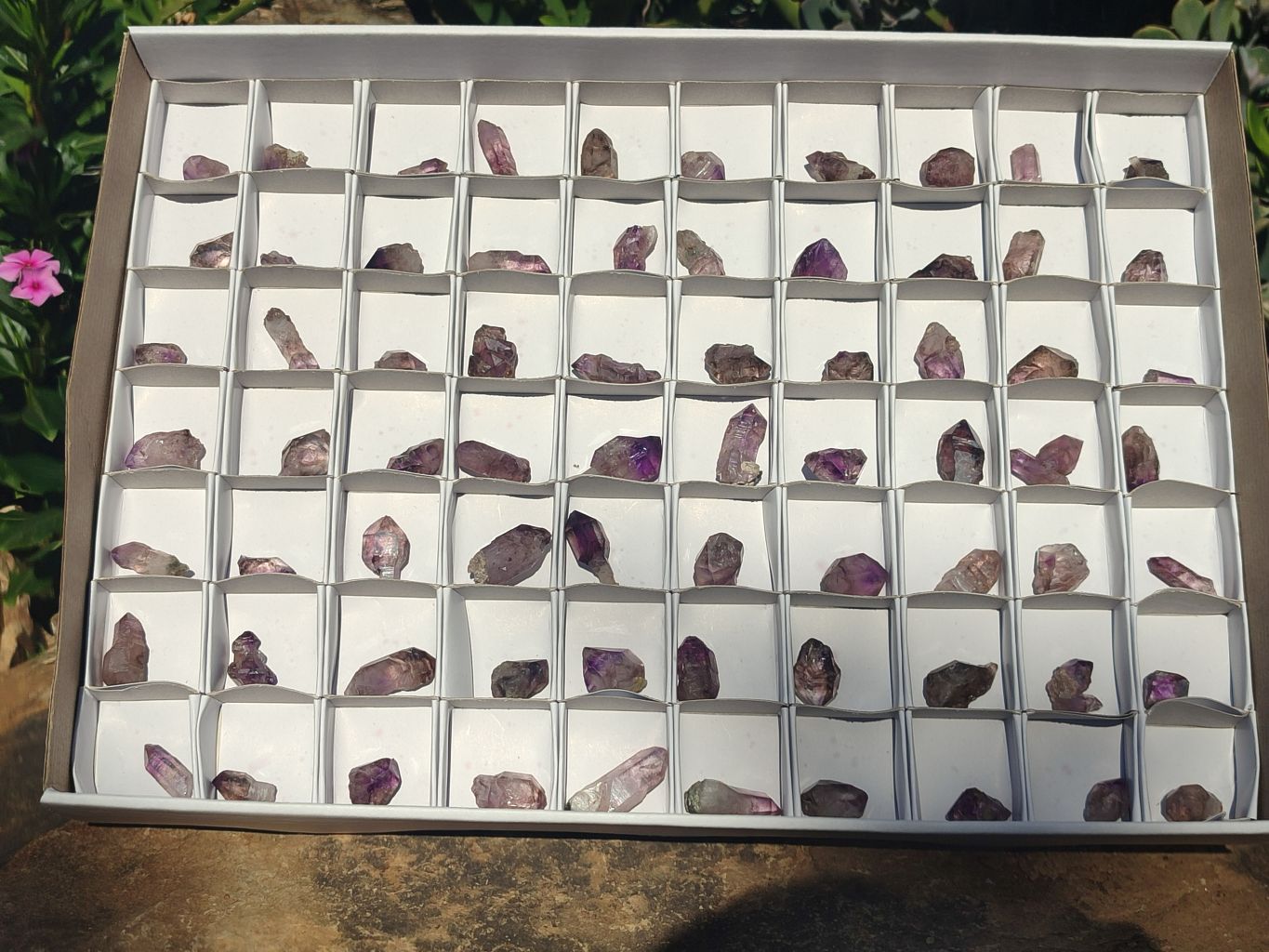 Natural Mini Smokey Amethyst Crystals  x 70 From Chiredzi, Zimbabwe - Toprock Gemstones and Minerals 