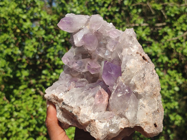 Natural Jacaranda Amethyst Clusters  x 2 From Zambia - Toprock Gemstones and Minerals 