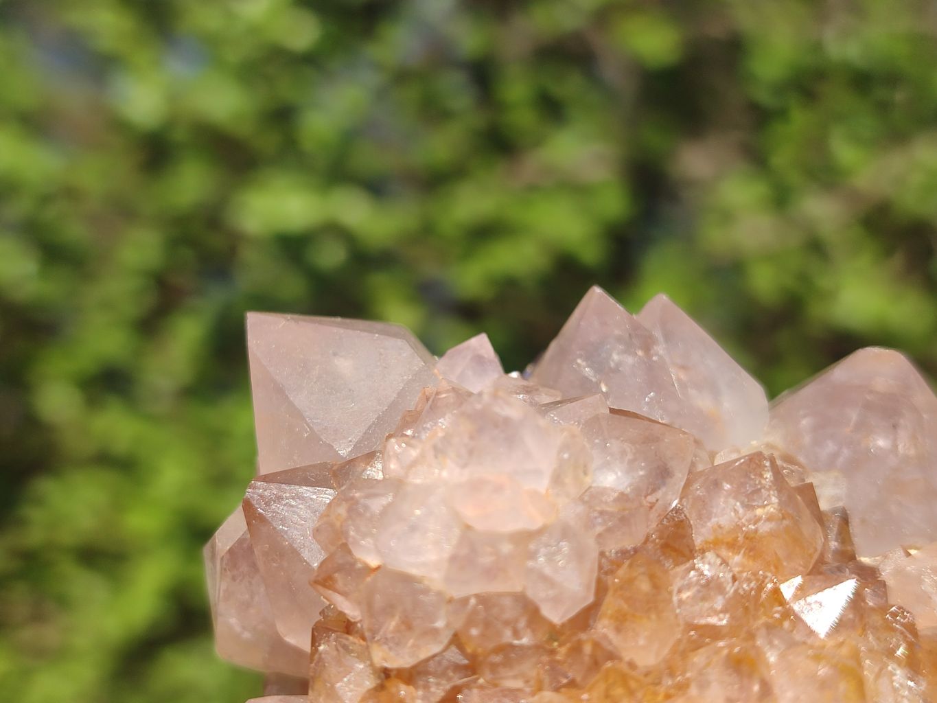Natural Gorgeous Spirit Amethyst Quartz Clusters  x 6 From Boekenhouthoek, South Africa - Toprock Gemstones and Minerals 