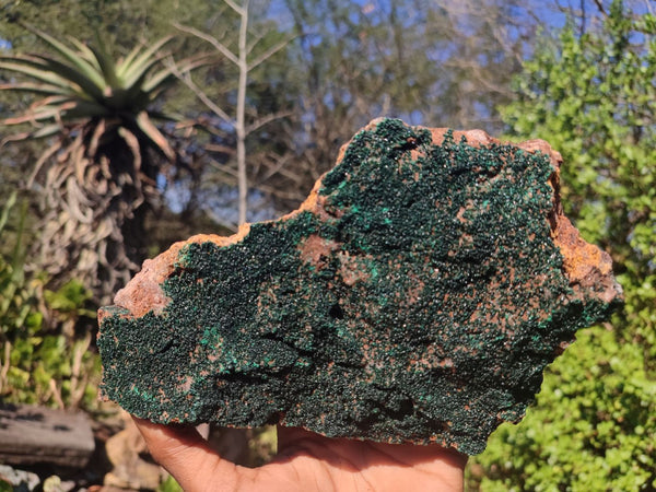 Natural Crystalline Micro Botryoidal Malachite Specimen  x 1 From Congo - Toprock Gemstones and Minerals 