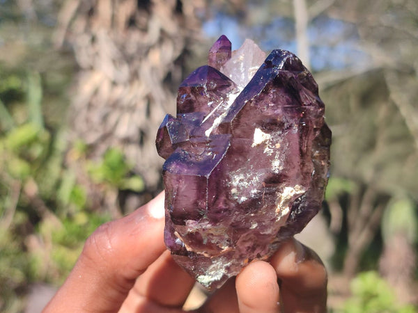 Natural Large Smokey Window Amethyst Crystals  x 6 From Chiredzi, Zimbabwe - Toprock Gemstones and Minerals 