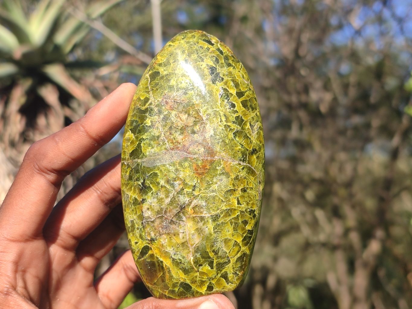Polished Green Opal Standing Free Forms  x 6 From Antsirabe, Madagascar - Toprock Gemstones and Minerals 