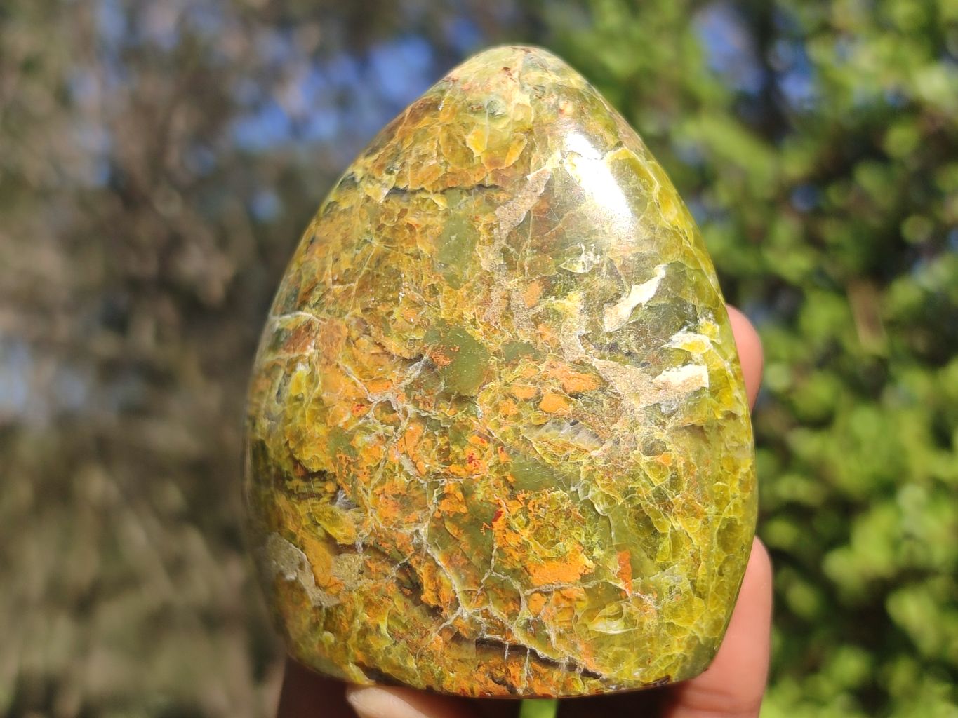 Polished Green Opal Standing Free Forms  x 6 From Antsirabe, Madagascar - Toprock Gemstones and Minerals 