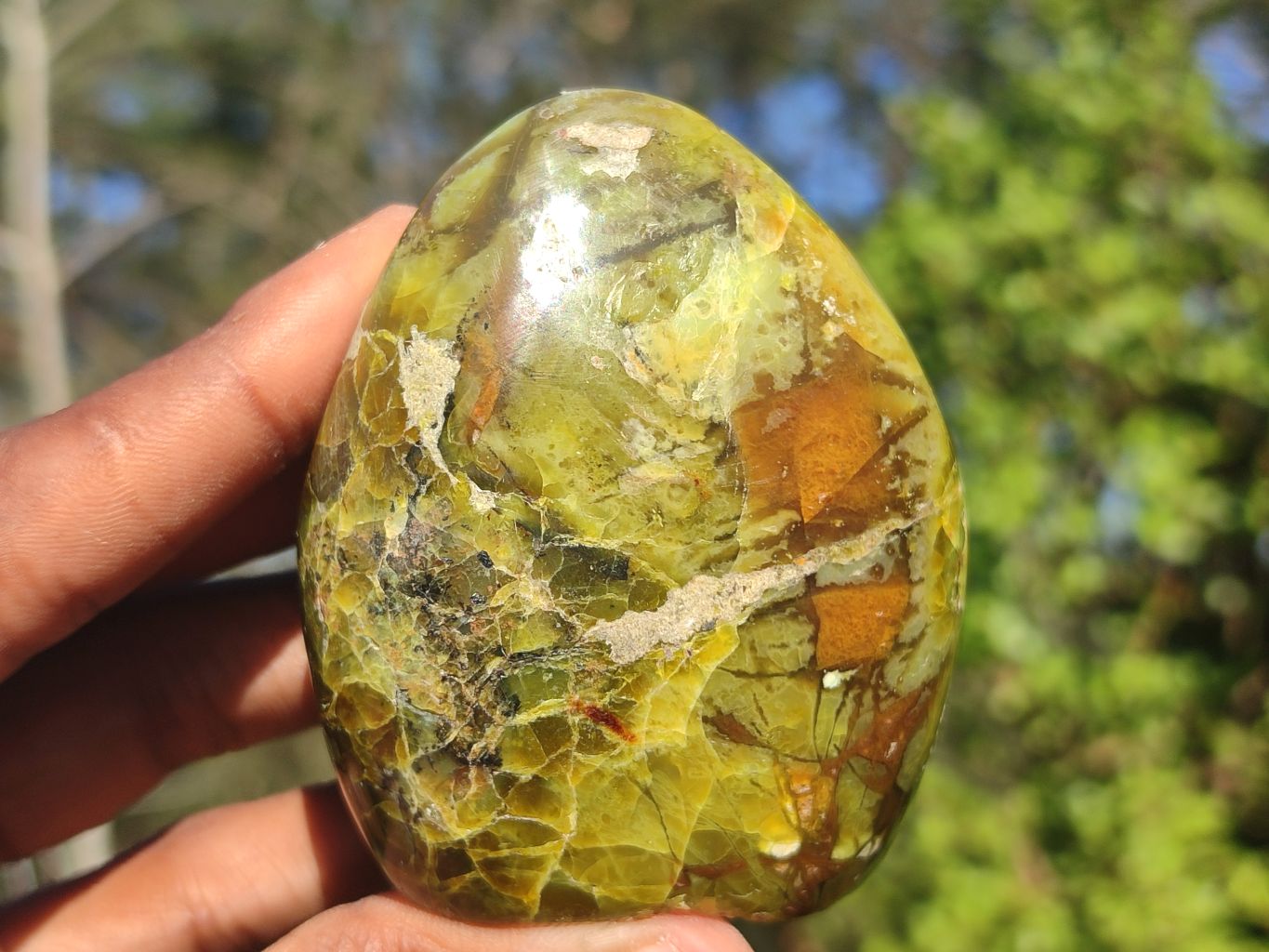 Polished Green Opal Standing Free Forms  x 6 From Antsirabe, Madagascar - Toprock Gemstones and Minerals 
