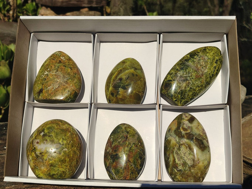 Polished Green Opal Standing Free Forms  x 6 From Antsirabe, Madagascar - Toprock Gemstones and Minerals 