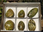 Polished Green Opal Standing Free Forms  x 6 From Antsirabe, Madagascar - Toprock Gemstones and Minerals 