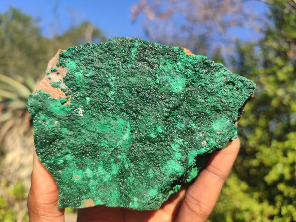 Natural Crystalline Micro Botryoidal Malachite Specimens x 4 From Congo - Toprock Gemstones and Minerals 