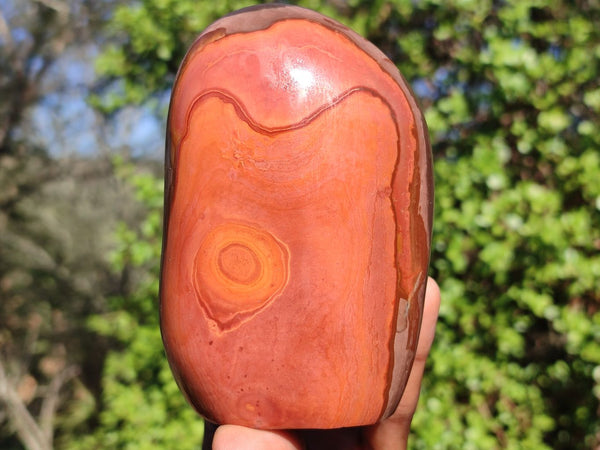 Polished Polychrome / Picasso Jasper Standing Free Forms  x 2 From Madagascar