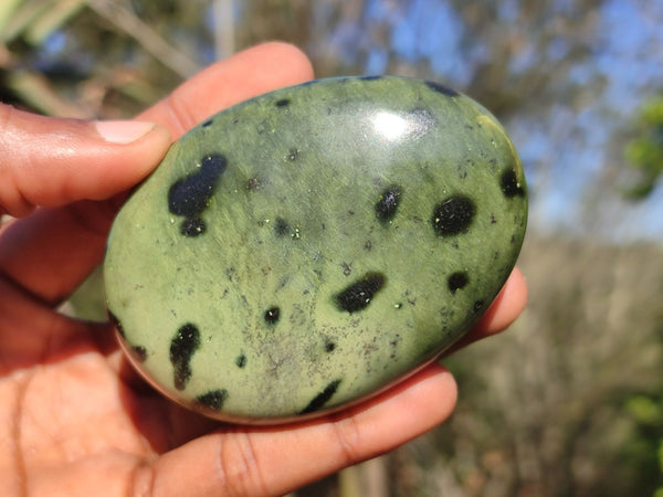 Polished Spotted Leopard Stone Gallets  x 6 From Zimbabwe