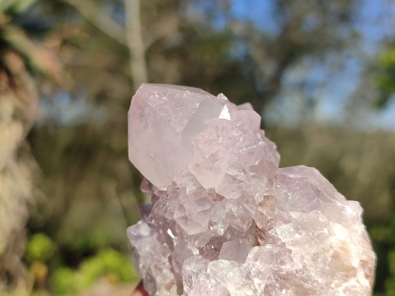 Natural Spirit Amethyst Quartz Clusters  x 12 From Boekenhouthoek, South Africa - Toprock Gemstones and Minerals 