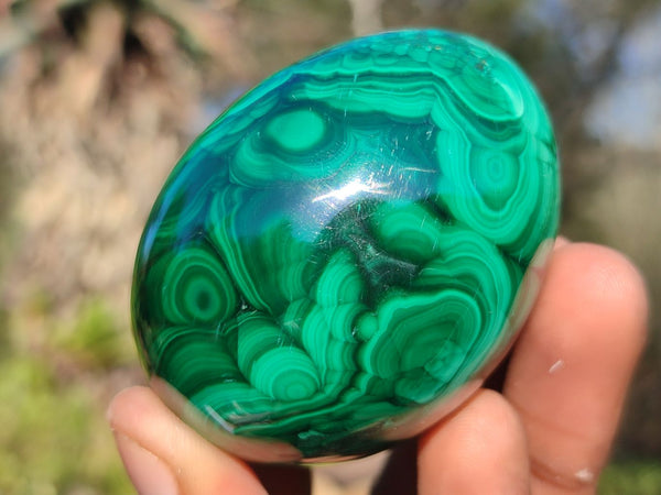 Polished Stunning Flower Banded Malachite Eggs  x 3 From Congo - Toprock Gemstones and Minerals 