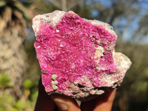 Natural Deep Pink Salrose Cobaltion Dolomite Specimens  x 6 From Kakanda, Congo - Toprock Gemstones and Minerals 