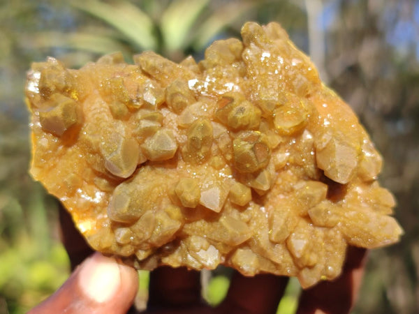 Natural Golden Limonite / Lemonite Quartz Clusters  x 12 From Zambia - Toprock Gemstones and Minerals 