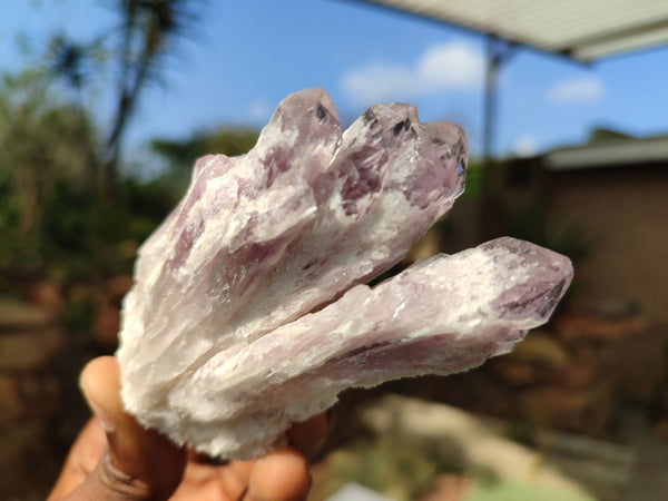 Natural Sugar Amethyst Clusters  x 12 From Solwezi, Zambia