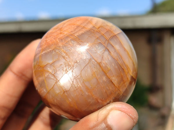 Polished Flashy Peach Moonstone Spheres  x 6 From Madagascar
