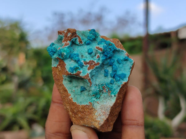 Natural Drusy Crystalline Quartz Coated Chrysocolla Specimens  x 12 From Likasi, Congo - Toprock Gemstones and Minerals 