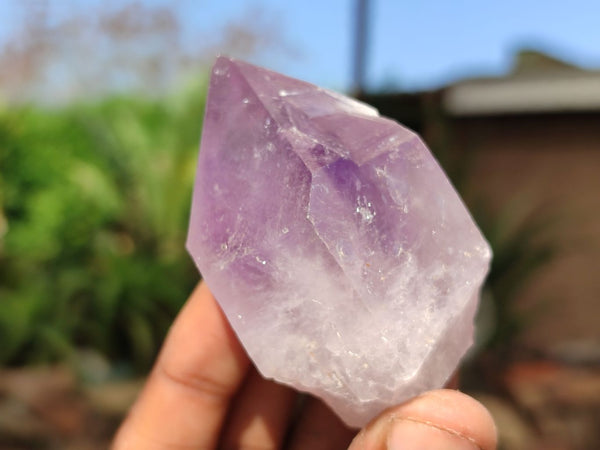 Natural Single Jacaranda Amethyst Crystals  x 12 From Zambia