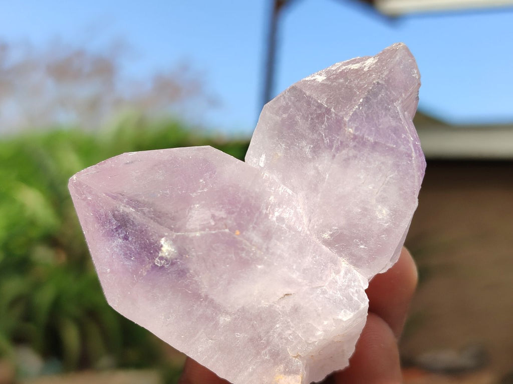 Natural Single Jacaranda Amethyst Crystals  x 12 From Zambia - Toprock Gemstones and Minerals 