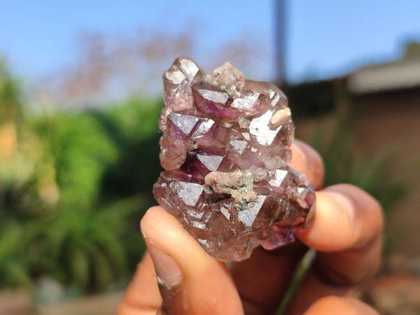 Natural Smokey Amethyst Window Quartz Crystals  x 12 From Chiredzi, Zimbabwe