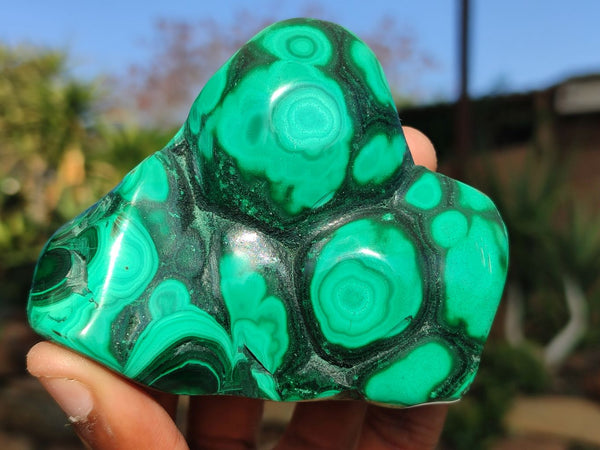 Polished Flower Banded Malachite Free Forms  x 3 From Congo