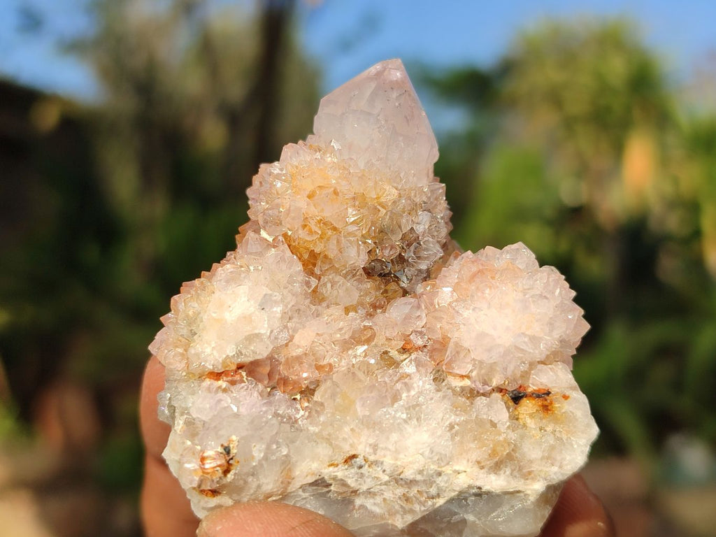 Natural Small Mixed Spirit Quartz Crystals & Clusters  x 20 From Boekenhouthoek, South Africa - Toprock Gemstones and Minerals 
