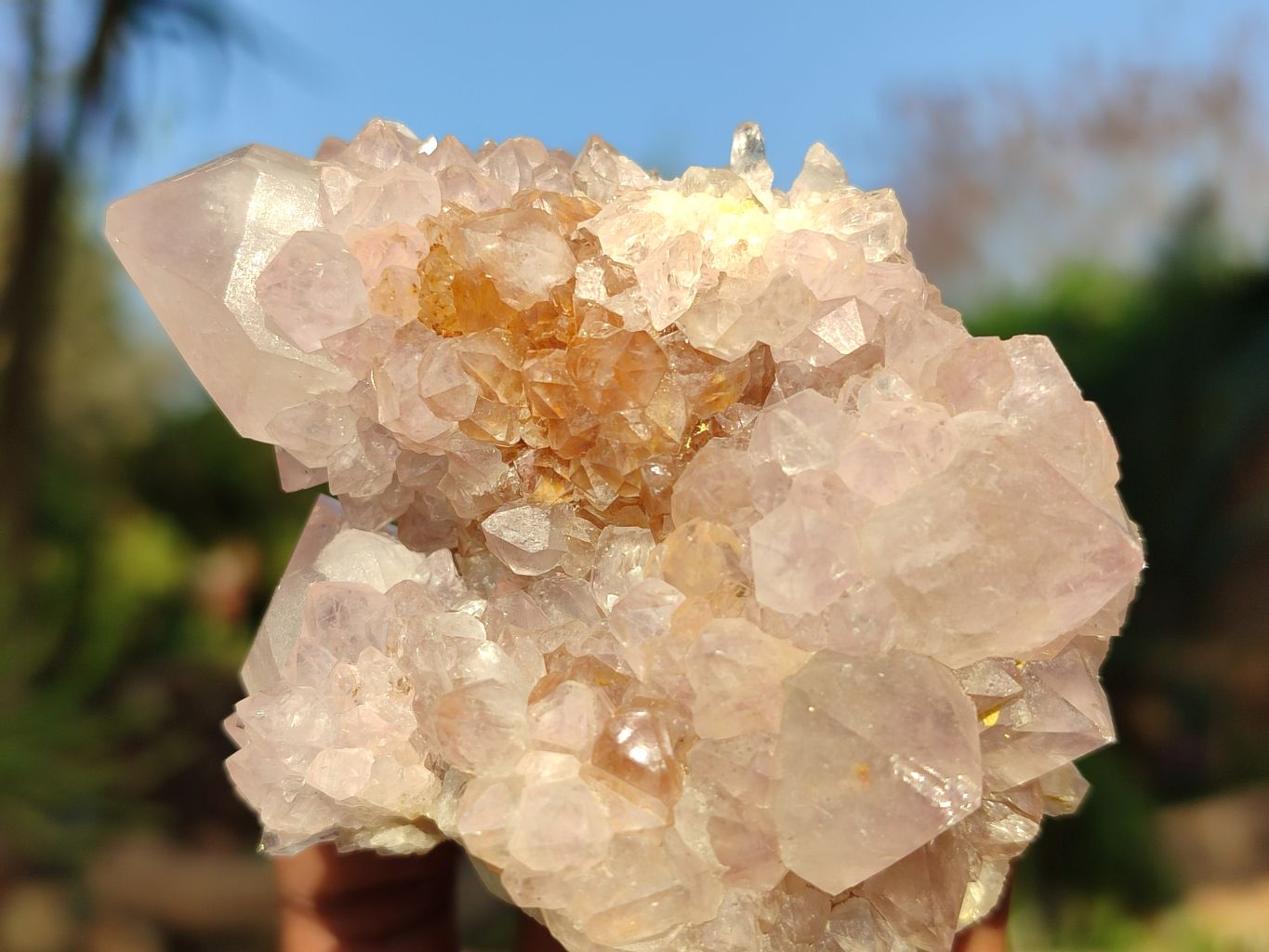 Natural Mixed Selection Of Spirit Quartz Clusters  x 12 From Boekenhouthoek, South Africa - Toprock Gemstones and Minerals 