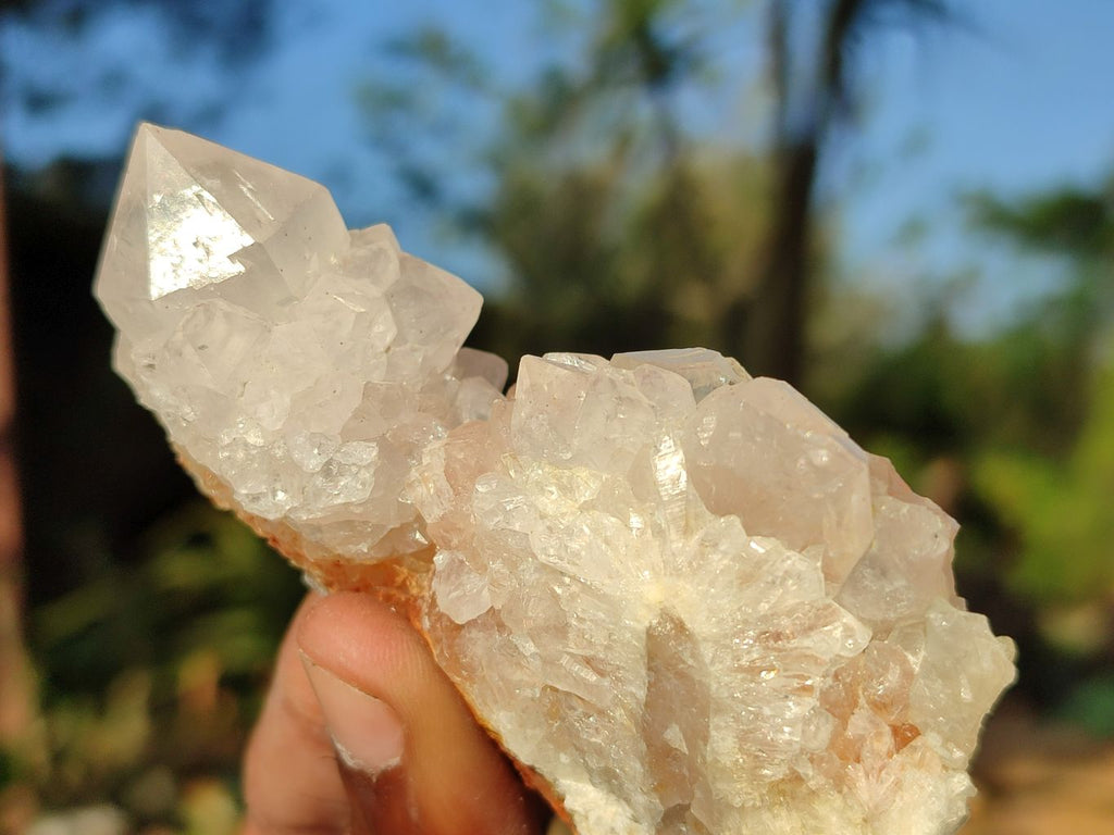 Natural Mixed Spirit Quartz Clusters  x 12 From Boekenhouthoek, South Africa - Toprock Gemstones and Minerals 