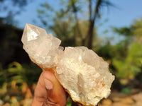 Natural Mixed Spirit Quartz Clusters  x 12 From Boekenhouthoek, South Africa - Toprock Gemstones and Minerals 