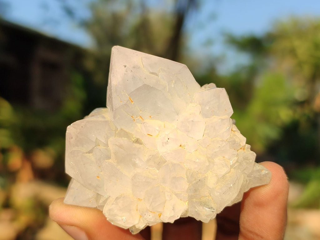 Natural Mixed Spirit Quartz Clusters  x 12 From Boekenhouthoek, South Africa - Toprock Gemstones and Minerals 