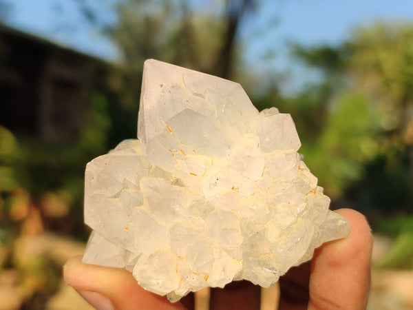 Natural Mixed Spirit Quartz Clusters  x 12 From Boekenhouthoek, South Africa