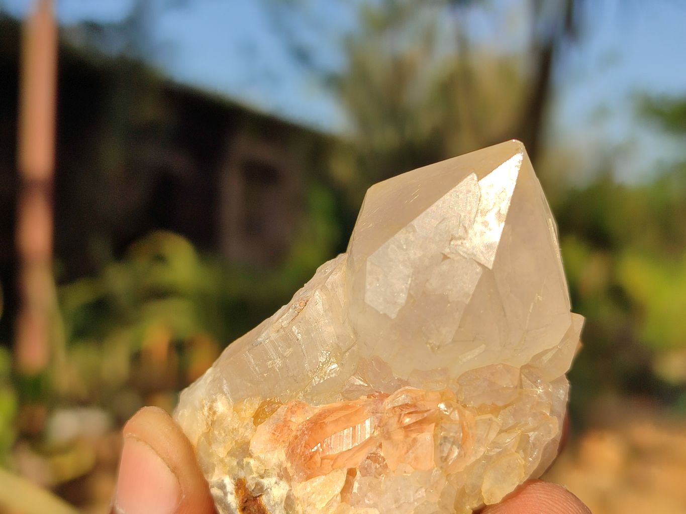 Natural Mixed Spirit Quartz Clusters  x 12 From Boekenhouthoek, South Africa - Toprock Gemstones and Minerals 