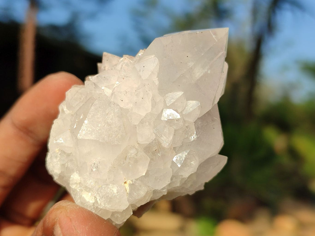 Natural Mixed Spirit Quartz Clusters  x 12 From Boekenhouthoek, South Africa - Toprock Gemstones and Minerals 