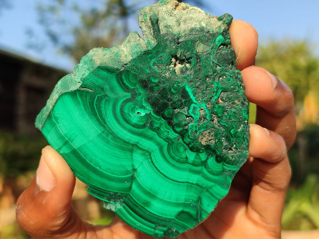 Polished Flower Banded Malachite Slices x 3 From Congo - Toprock Gemstones and Minerals 