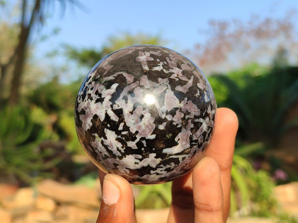Polished Merlinite Gabbro Spheres  x 4 From Madagascar