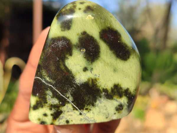 Polished Spotted Leopard Stone Free Forms  x 12 From Nyanga & Shamva, Zimbabwe