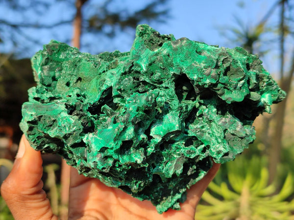 Natural Large Chatoyant Silky Malachite Specimens x 2 From Kasompe, Congo