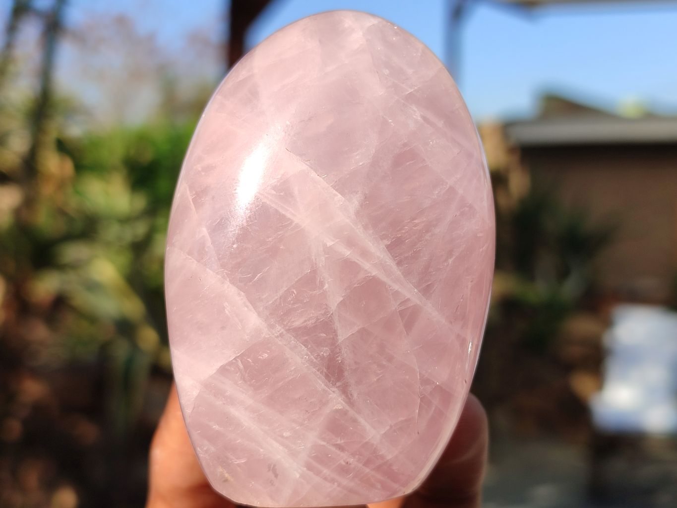 Polished Gemmy Pink Rose Quartz Standing Free Forms x 6 From Madagascar - Toprock Gemstones and Minerals 