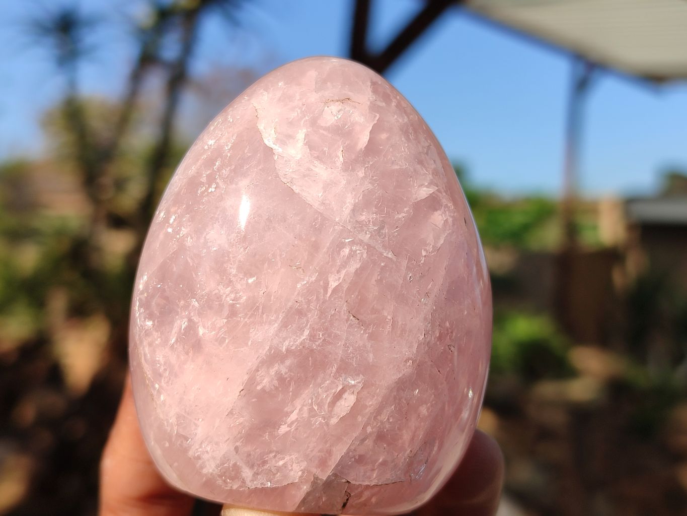 Polished Gemmy Pink Rose Quartz Standing Free Forms x 6 From Madagascar - Toprock Gemstones and Minerals 