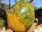 Polished Green Opal Standing Free Forms  x 2 From Madagascar - Toprock Gemstones and Minerals 