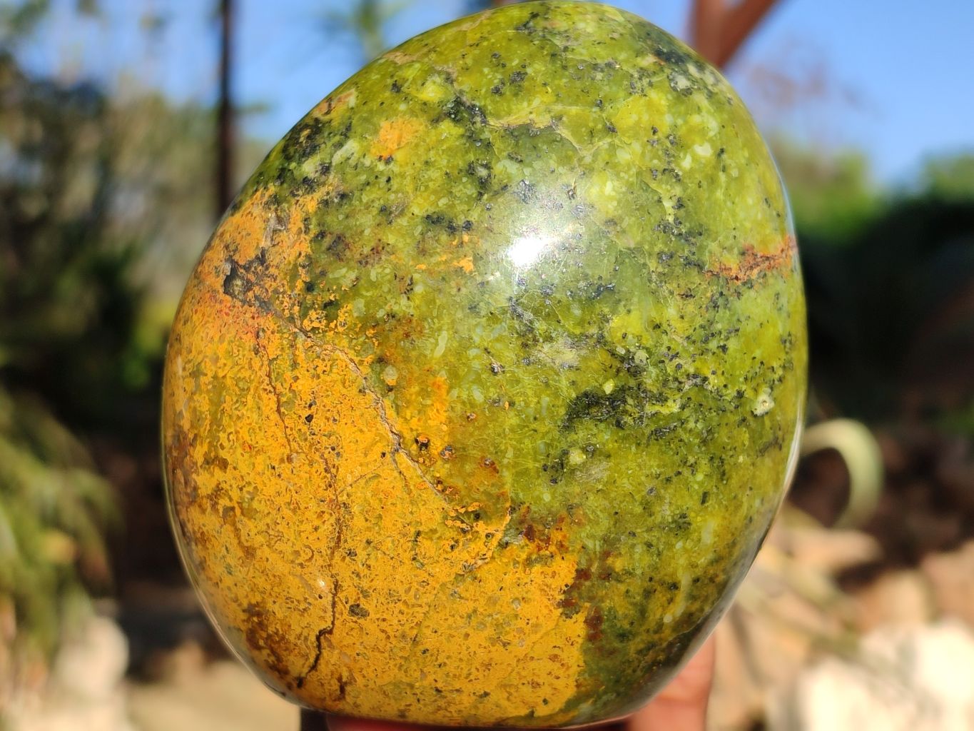 Polished Green Opal Standing Free Forms  x 2 From Madagascar - Toprock Gemstones and Minerals 