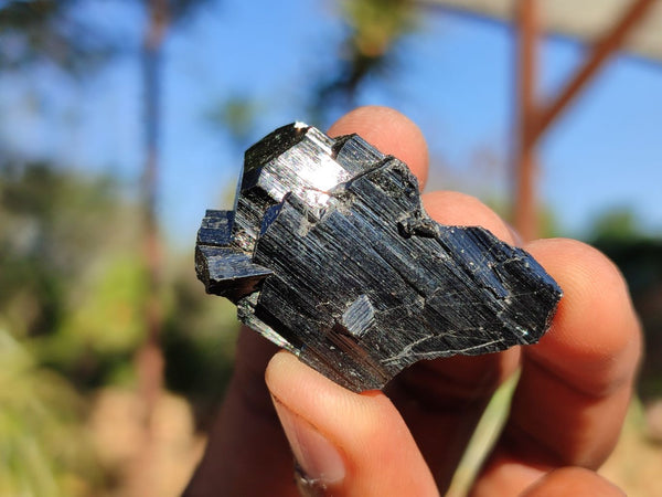 Natural Schorl Black Tourmaline Specimens With Smokey Quartz & Hyalite Opal x 12 From Erongo, Namibia