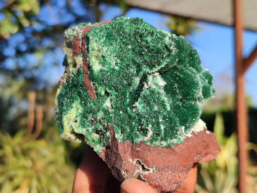 Natural Drusy Coated Malachite & Red Copper Dolomite Matrix Specimens  x 2 From Likasi, Congo - Toprock Gemstones and Minerals 