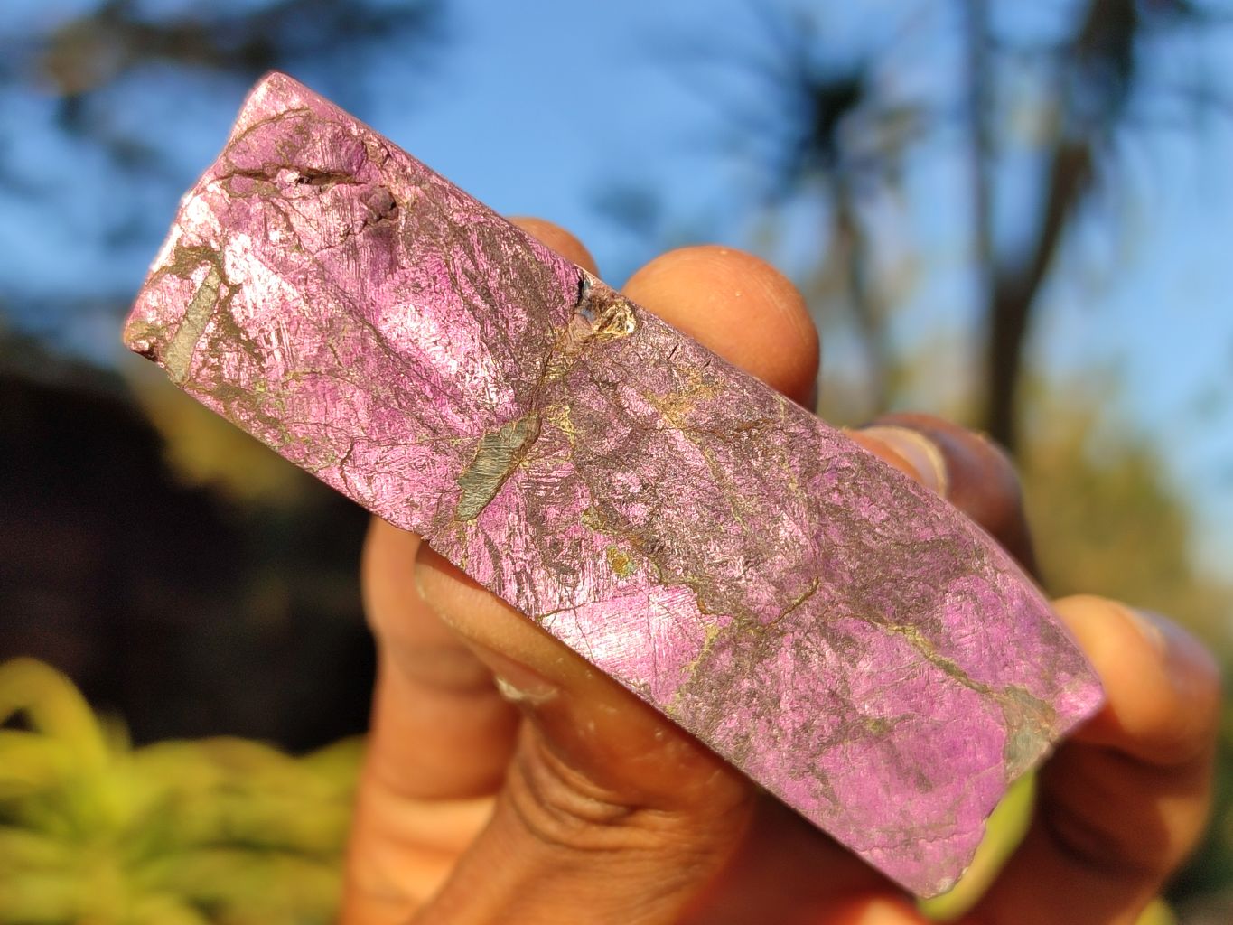 Polished Metallic Purpurite Free Forms With Matte Finish x 12 From Ero ...