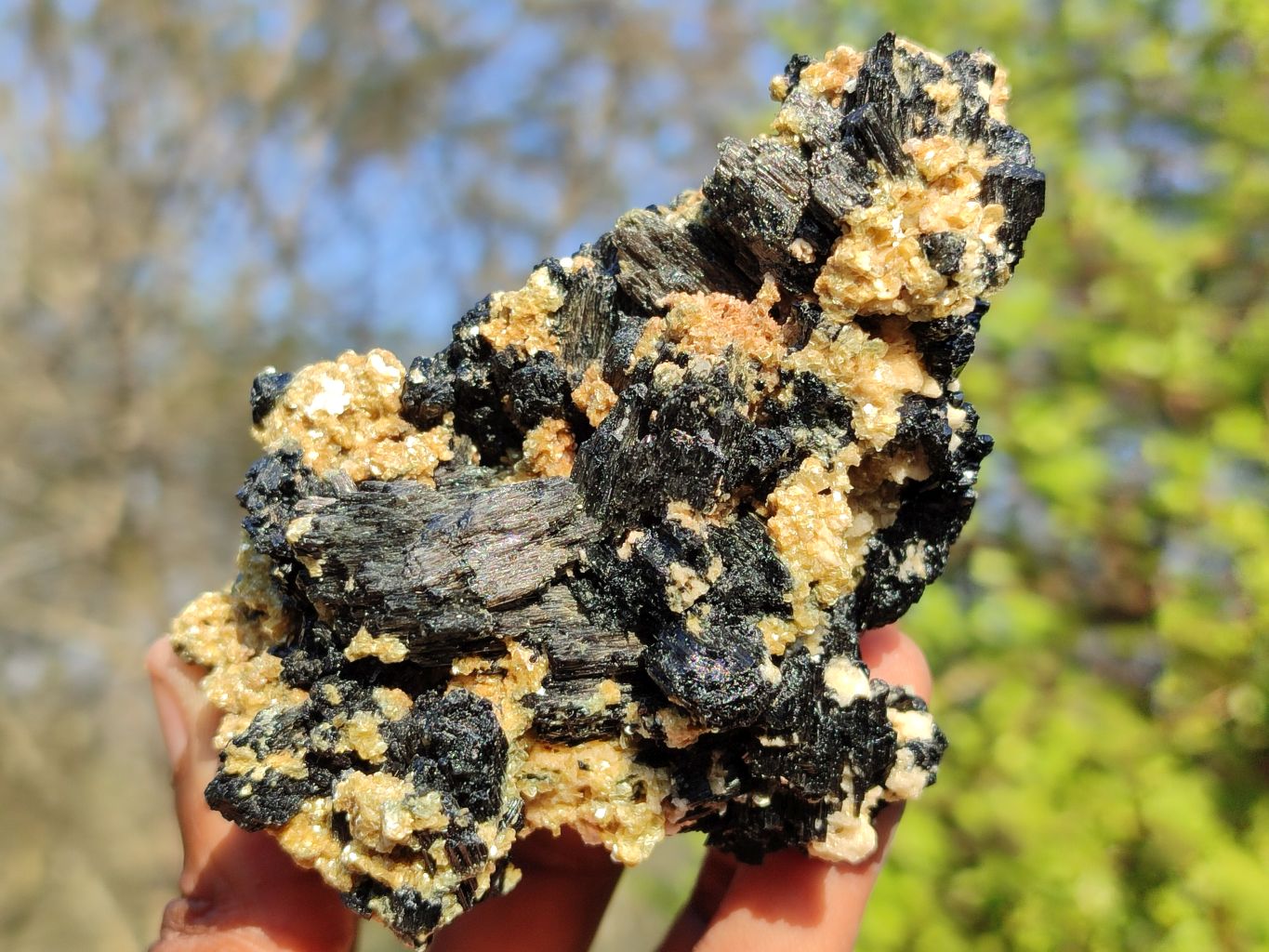 Natural Schorl Black Tourmaline Specimens  x 3 From Erongo, Namibia - Toprock Gemstones and Minerals 